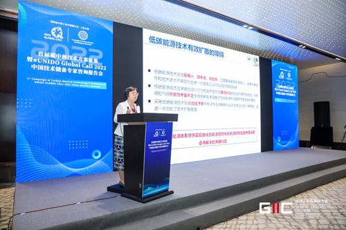 2022首屆碳中和技術(shù)方案征集暨UNIDO Global Call中國(guó)技術(shù)儲(chǔ)備專家咨詢報(bào)告會(huì)在烏鎮(zhèn)舉行