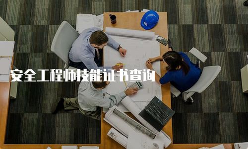 安全工程師技能證書(shū)查詢與技術(shù)咨詢指南